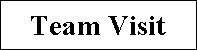 Text Box: Team Visit

